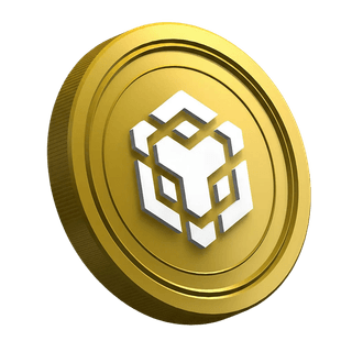 Stran z vodnikom za začetnike v trgovanju s kriptovaluto Binance BNB
